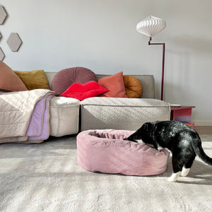 Schwarz-weiße Katze nähert sich rosa DINGHY Katzenbett Hello Kitty Edition im Wohnzimmer