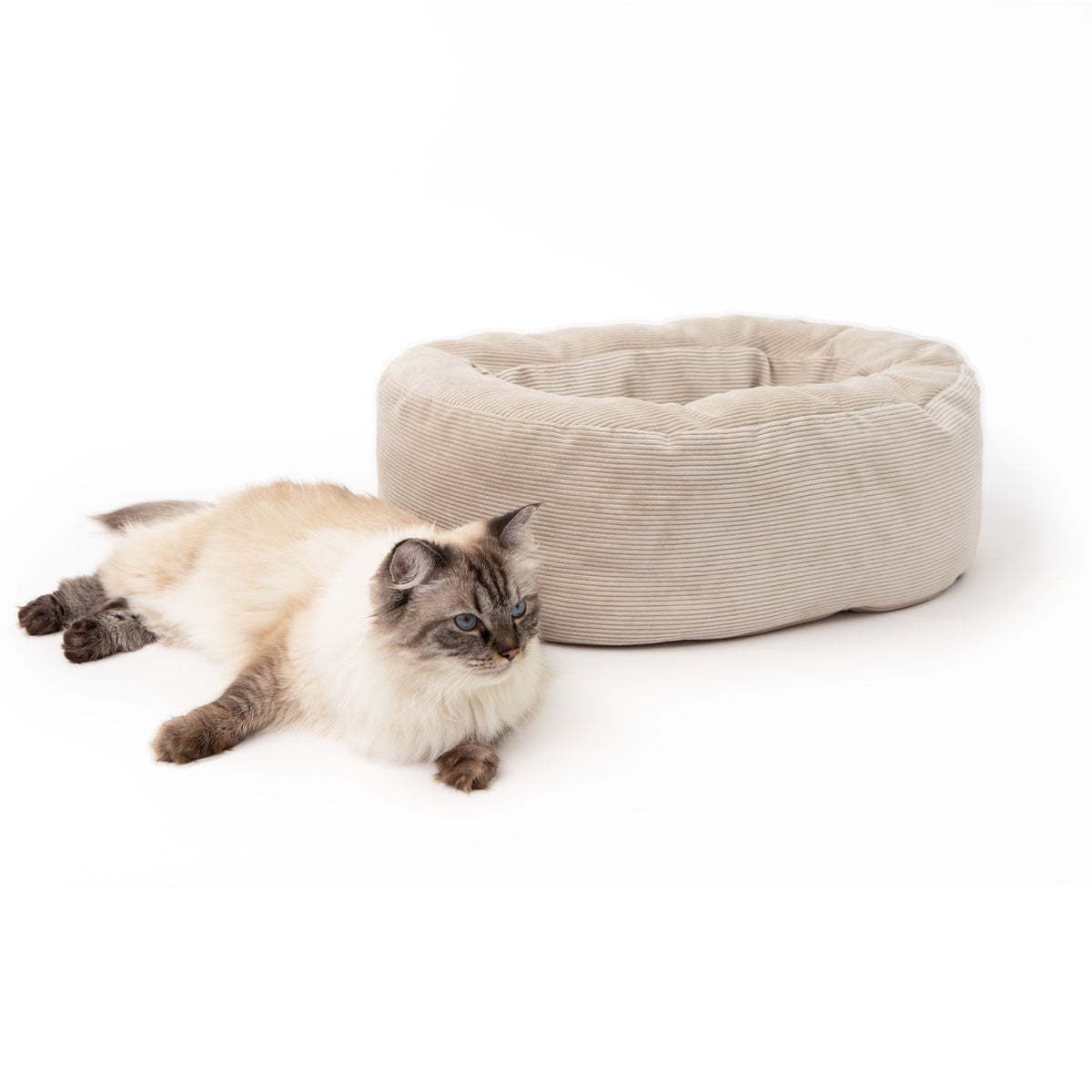 Cuccia per gatti DINGHY in sabbia, gatto sdraiato accanto, foto in studio