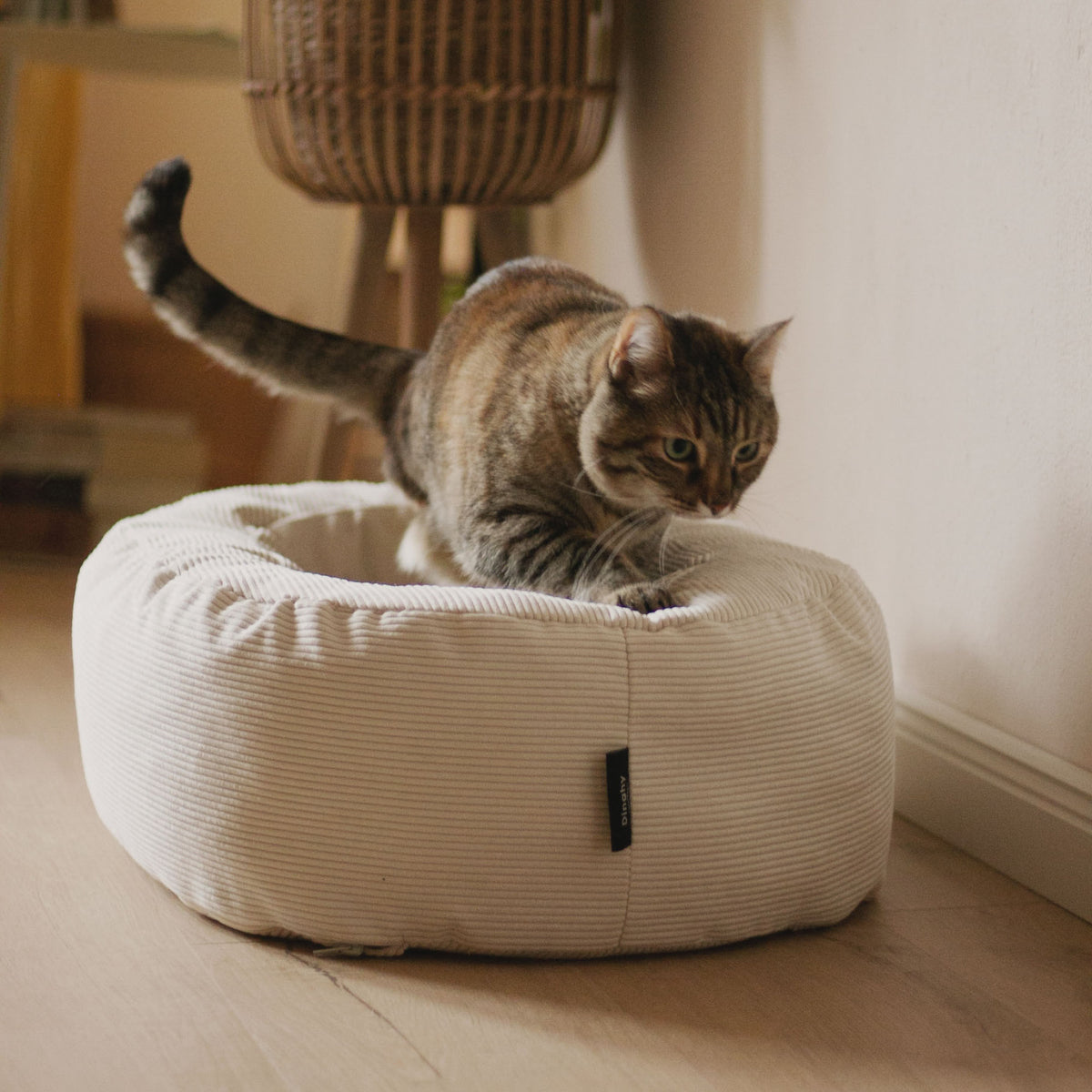 DINGHY Panier pour chat