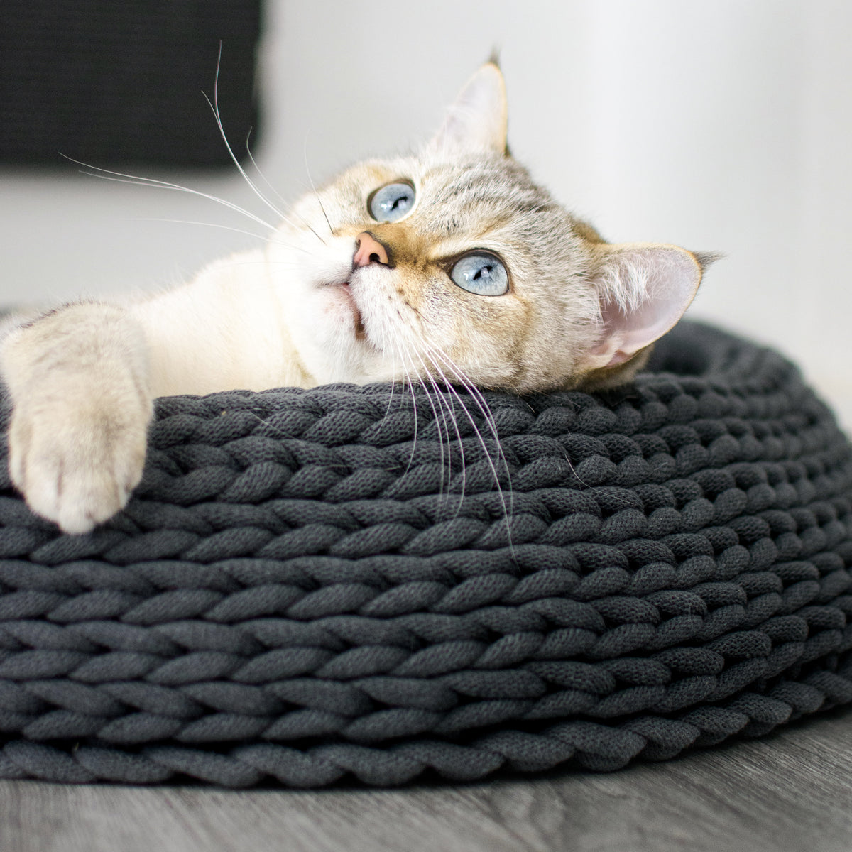 BASKET Katzenbett