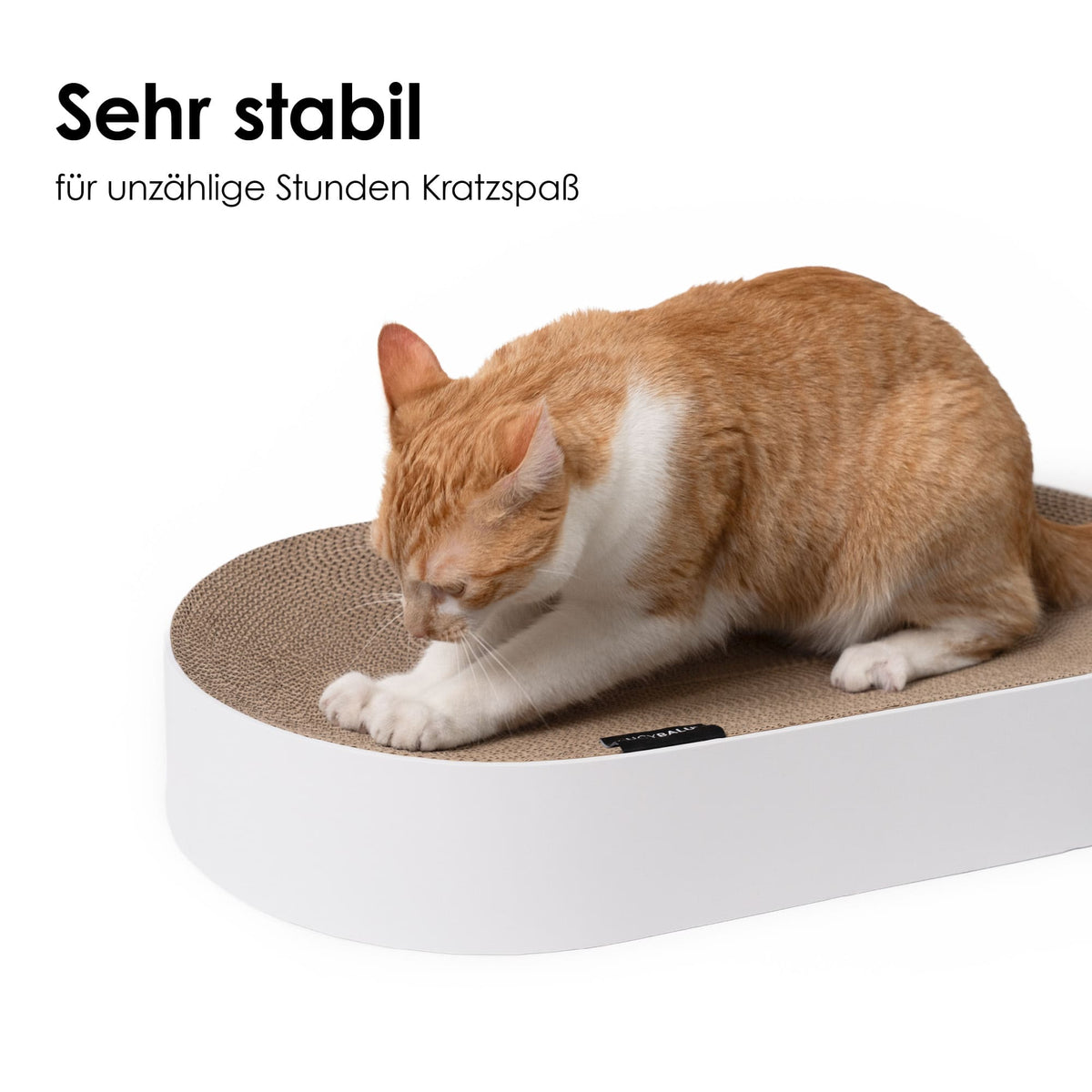 Lit à griffer SCRATCHBED en blanc : très robuste pour d'innombrables heures de jeu, un chat roux et blanc aiguisant ses griffes