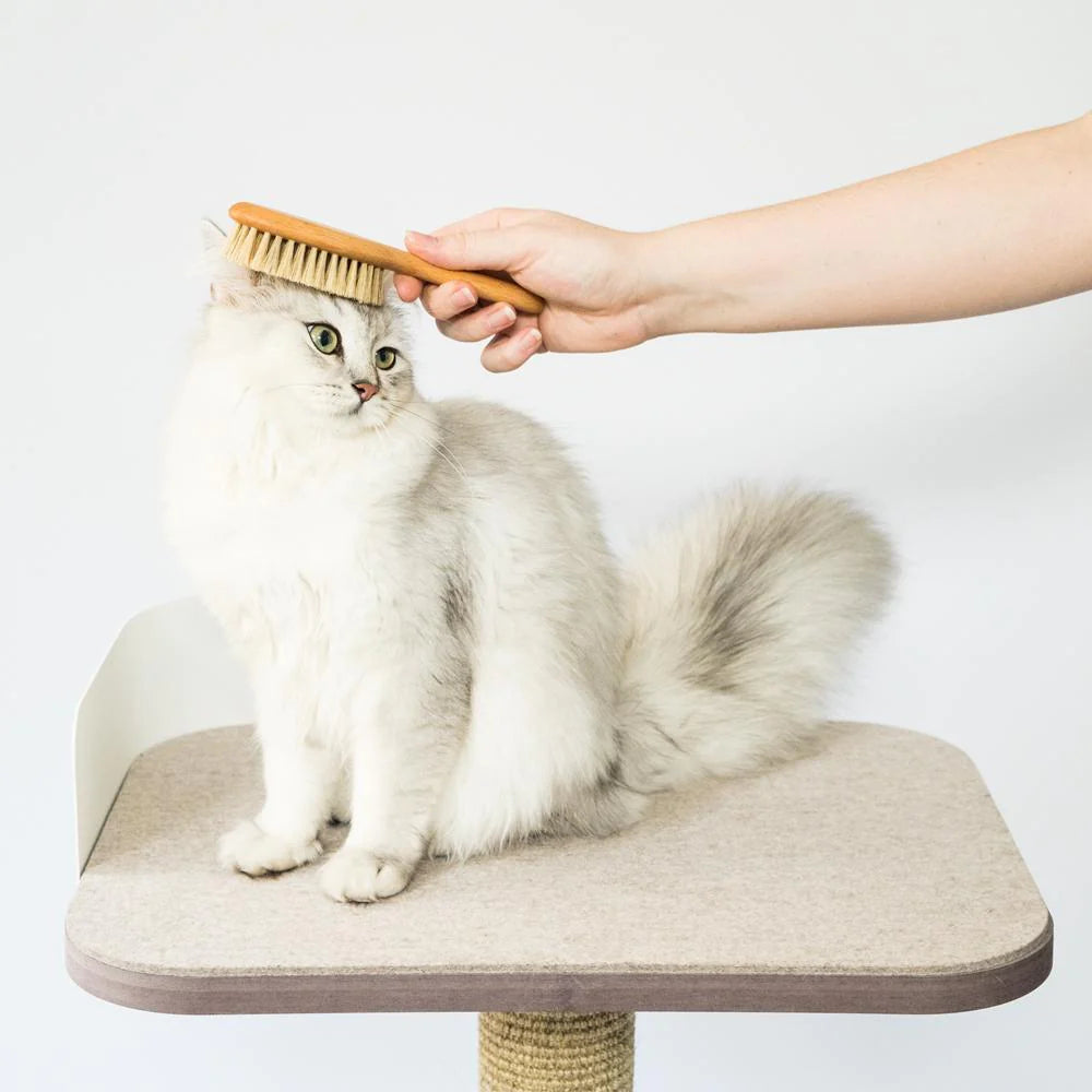 Cat Wellness Set – set benessere per gatti