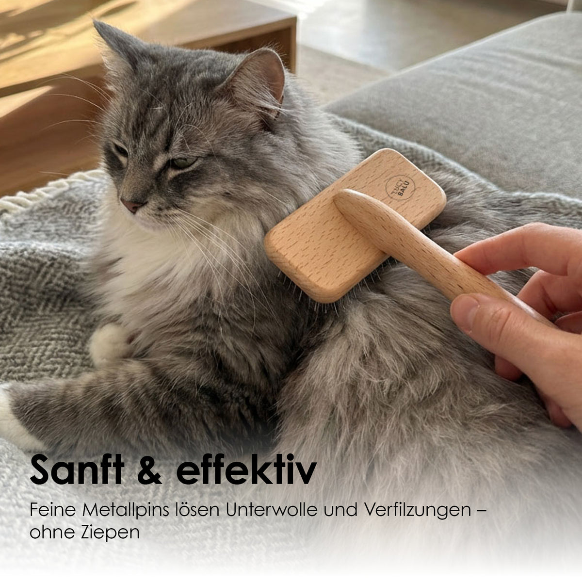 FURRY Slickerbürste: Sanft und effektiv – feine Metallpins lösen Unterwolle und Verfilzungen ohne Ziepen, graue Langhaarkatze wird gebürstet