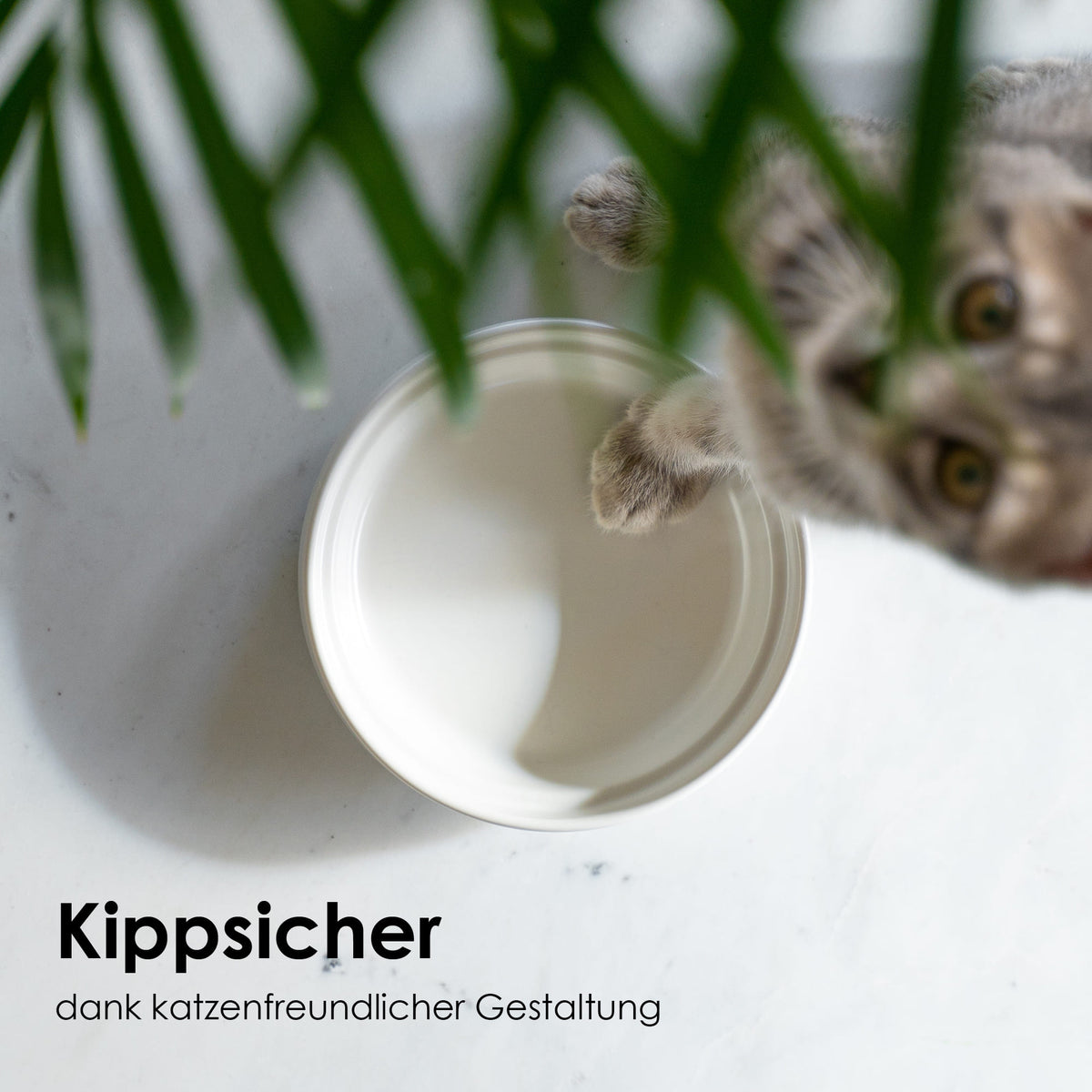 Bol en porcelaine BOWL en blanc avec du lait – anti-basculement grâce à son propre poids, une patte de chat s'y plongeant.