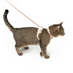Getigerte Katze mit rosa EXPLORER Katzengeschirr Hello Kitty Edition und Leine im Profil