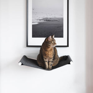 Gatto tigrato seduto e attento sull'amaca SWING in bianco/antracite sotto una foto in bianco e nero di uccelli.