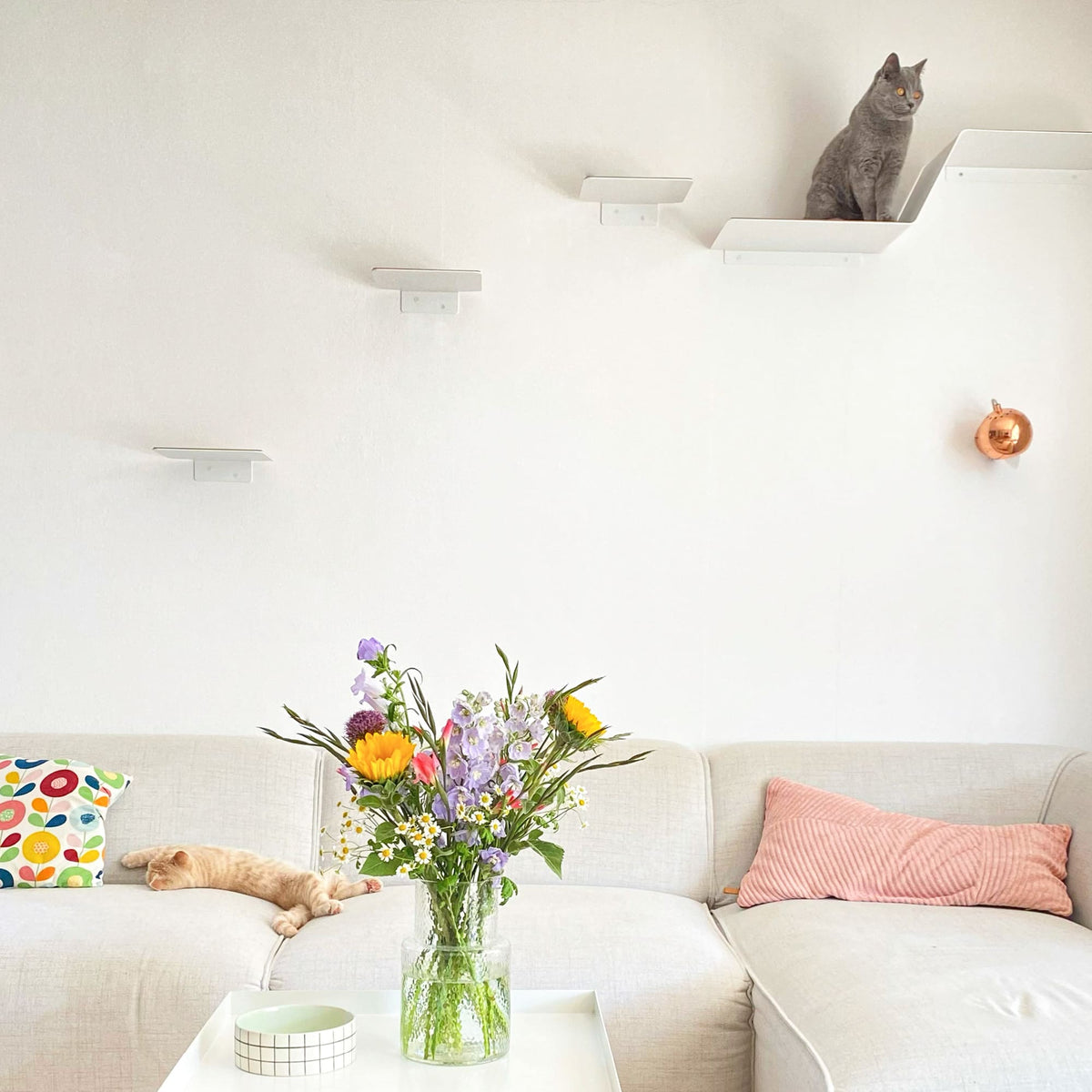 Escalier pour chat STEPS en blanc au-dessus du canapé – un chat gris assis en haut, un chat roux somnolant sur le canapé