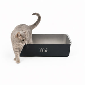 Lettiera STEELOO in acciaio inox, nera, gatto seduto davanti