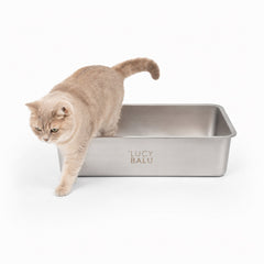Katzenklo