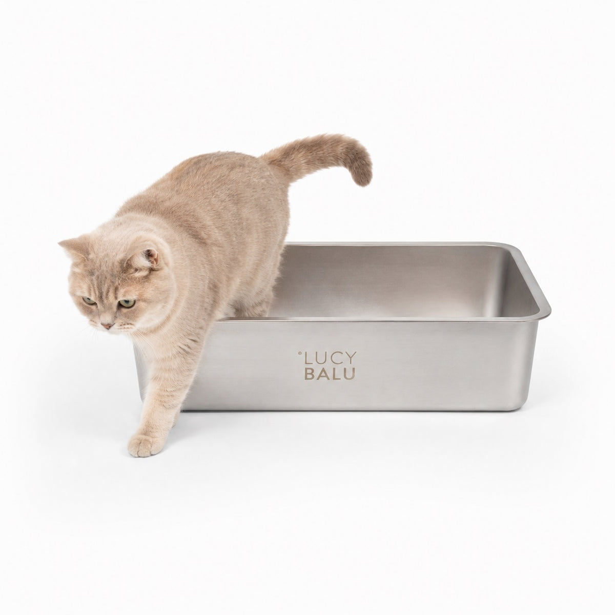 Lettiera STEELOO in acciaio inox, gatto che vi entra