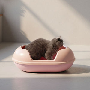 Gatto grigio seduto nella lettiera ARENA rosa senza coperchio, con bordo alto