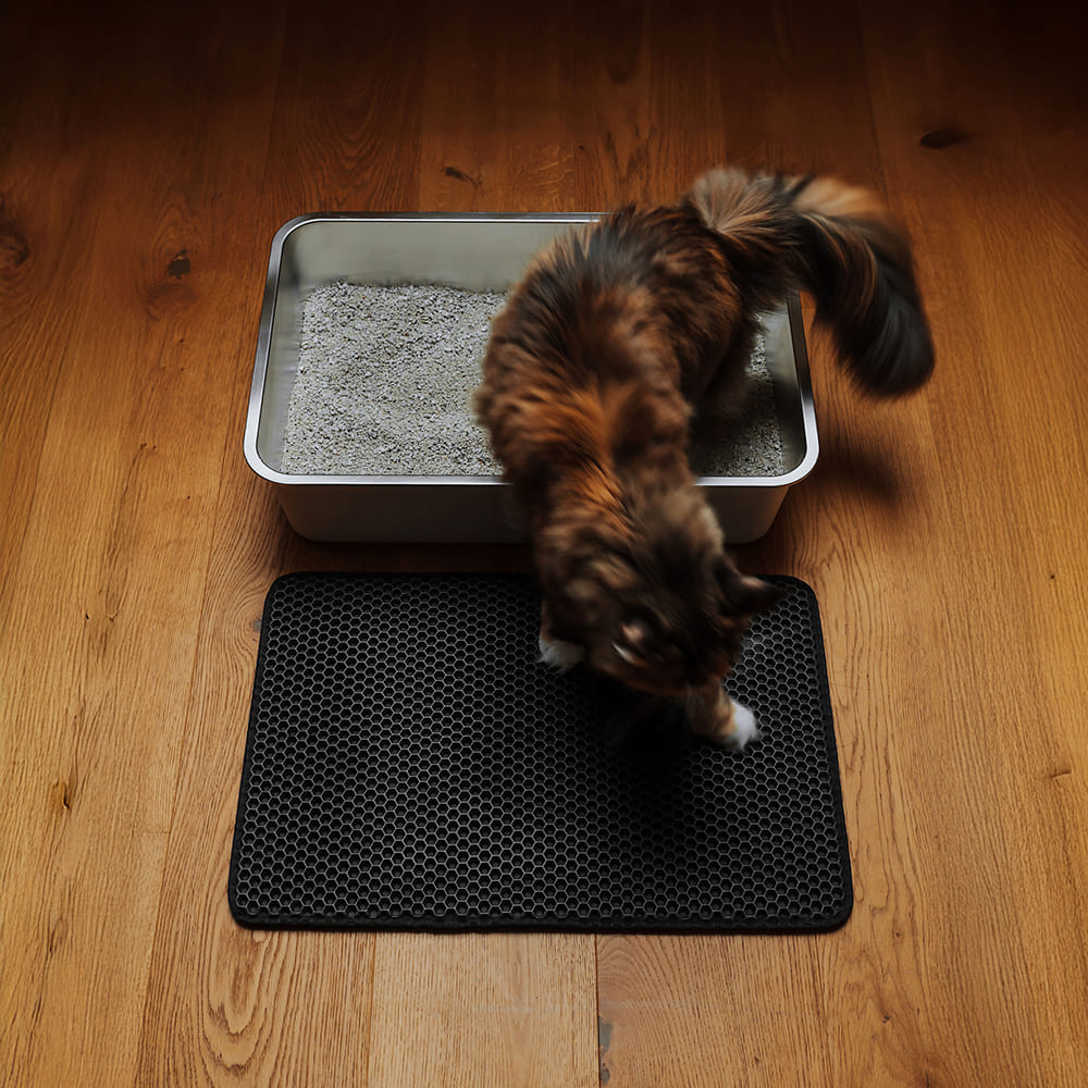 LOOMAT Streumatte in Anthrazit, Katze springt aus der Katzentoilette auf die Streufangmatte