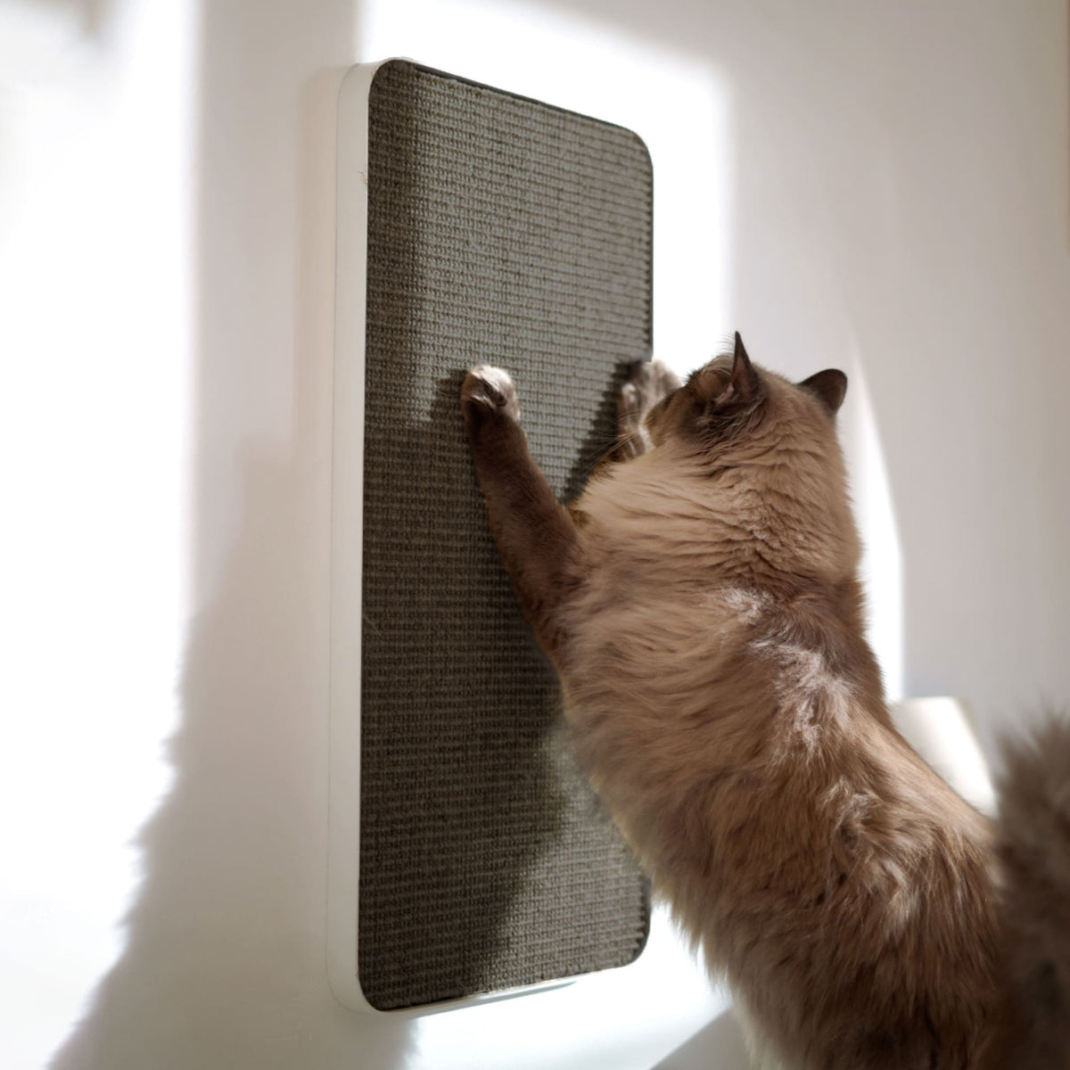 Planche à griffer design pour chats en blanc/anthracite
