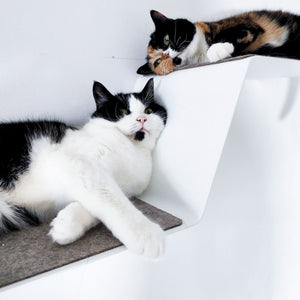 Cuccia da parete per gatti WAVE