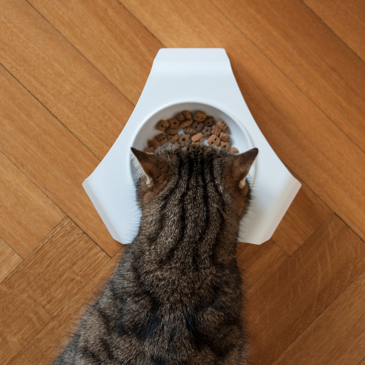 Katzennapf & Napfunterlage Set