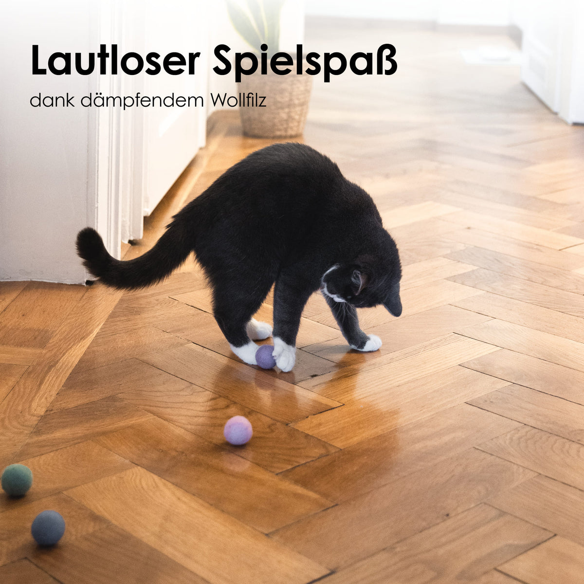 Gatto gioca con le palline di feltro RAINBOW BALLS – divertimento silenzioso grazie al feltro di lana ammortizzante