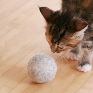 Un chaton reniflant la balle en feutre MINT BALL grise sur un parquet