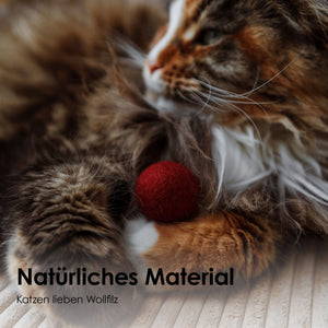 Gatto con la pallina di feltro MAGIC MAGENTA in feltro di lana naturale