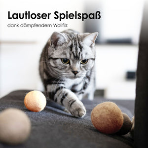 Katze spielt mit PEACH FUZZ Filzbällen – lautloser Spielspaß dank dämpfendem Wollfilz