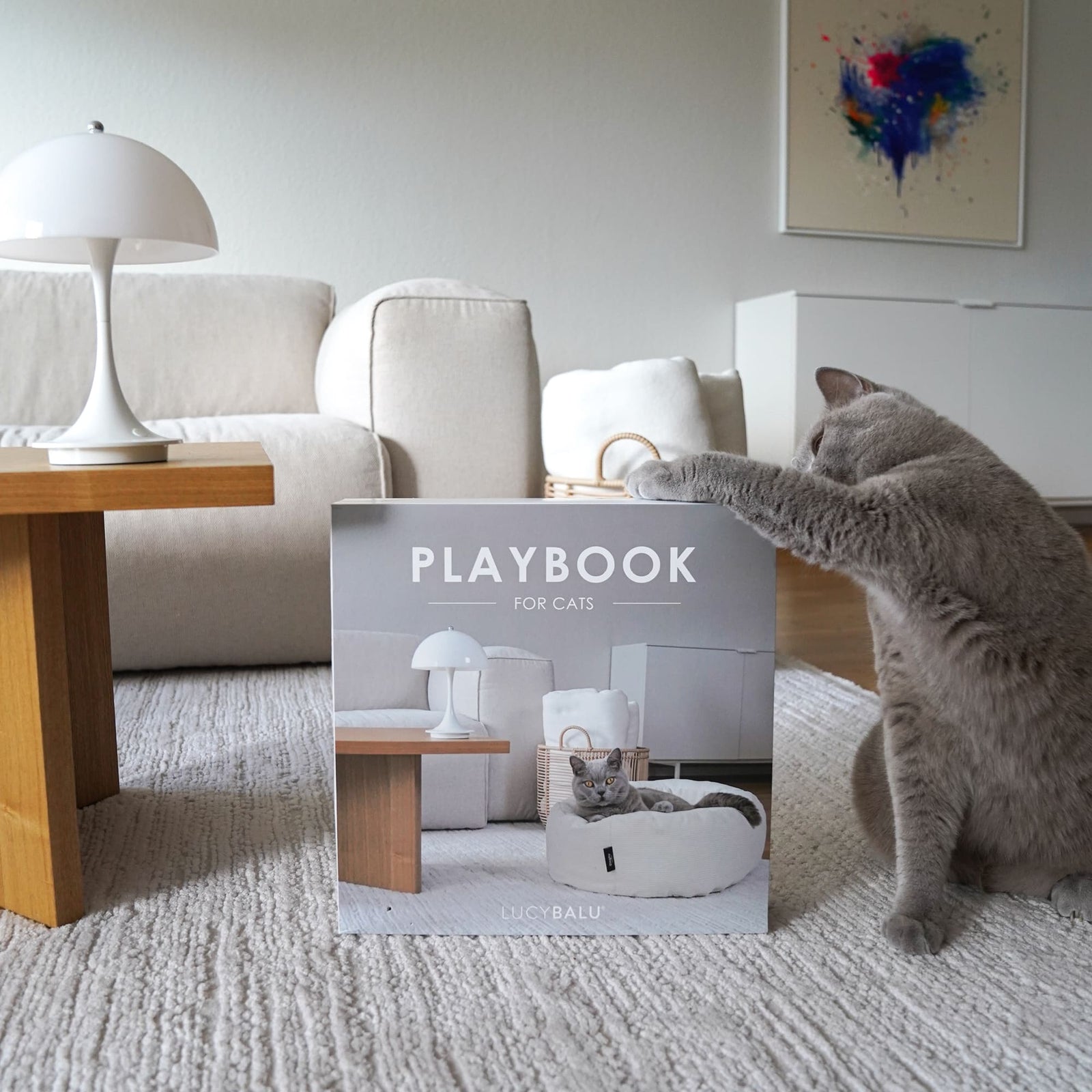 PLAYBOOK Kratzspielzeug aus Pappe im modernen Design mit runder Kratzfläche und integriertem Ball, präsentiert vor der PLAYBOOK Verpackung