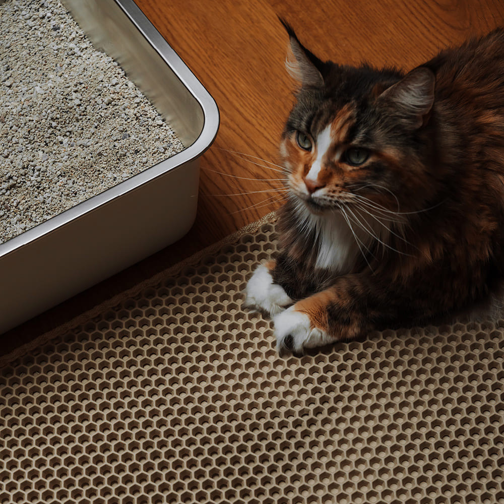 LOOMAT Streumatte in Sand, getigerte Katze liegt davor neben der Katzentoilette