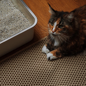 LOOMAT Streumatte in Sand, getigerte Katze liegt davor neben der Katzentoilette