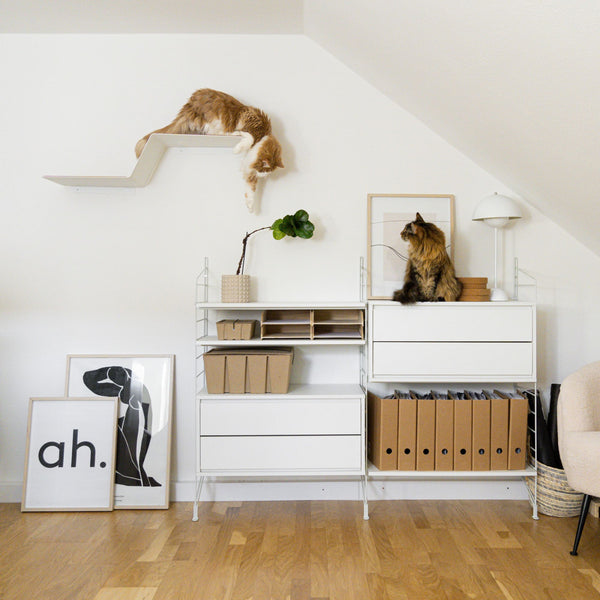 WAVE Katzenstufe XXL in Weiß