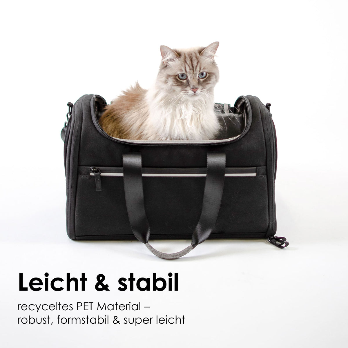 Sac de transport CHECK-IN en noir : léger et robuste en PET recyclé, un chat Ragdoll assis dedans