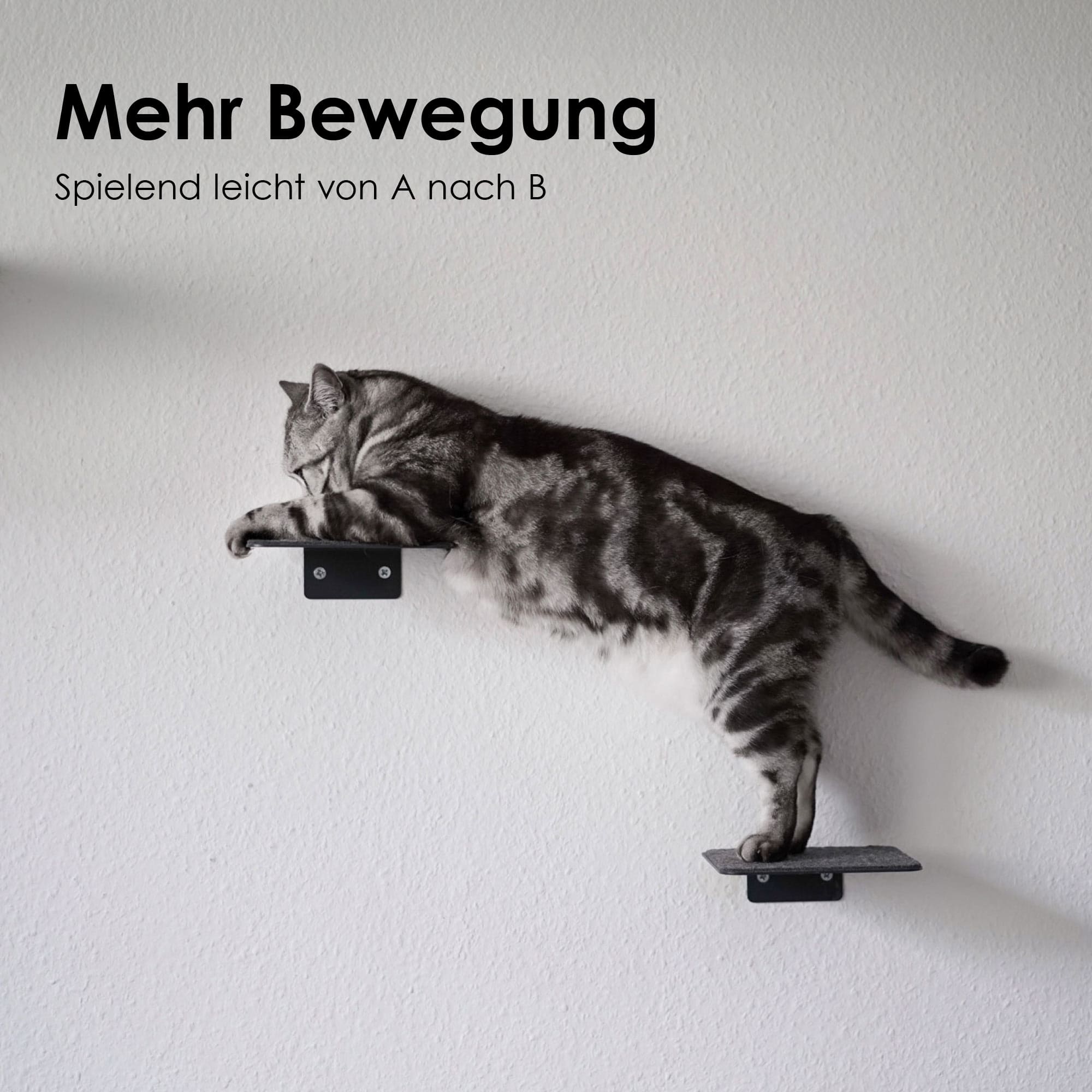 STEPS Katzentreppe: Getigerte Katze springt zwischen zwei Wandstufen – Mehr Bewegung, spielend leicht von A nach B