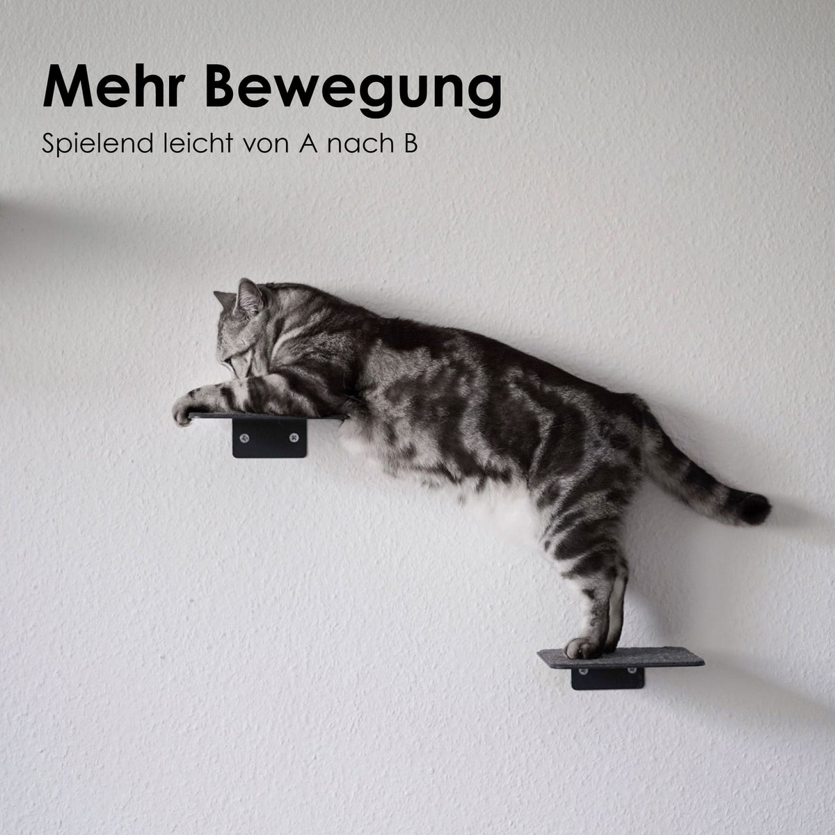 Escalier pour chat STEPS : un chat tigré sautant entre deux marches murales – plus de mouvement, facilement d'un point à l'autre