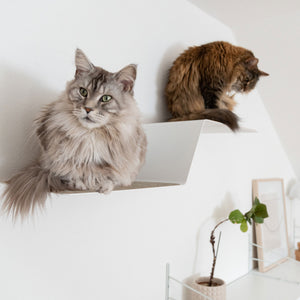 Gradini per gatti WAVE sulla parete per gatti