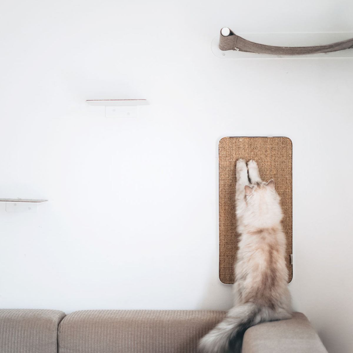 Mur pour chat sobre avec élément à griffer
