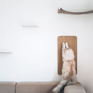 Mur pour chat sobre avec élément à griffer