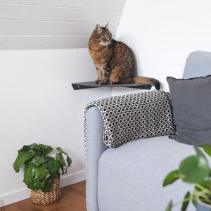 Un chat assis sur l'étagère d'angle CORNER foncée au-dessus d'un canapé avec coussins