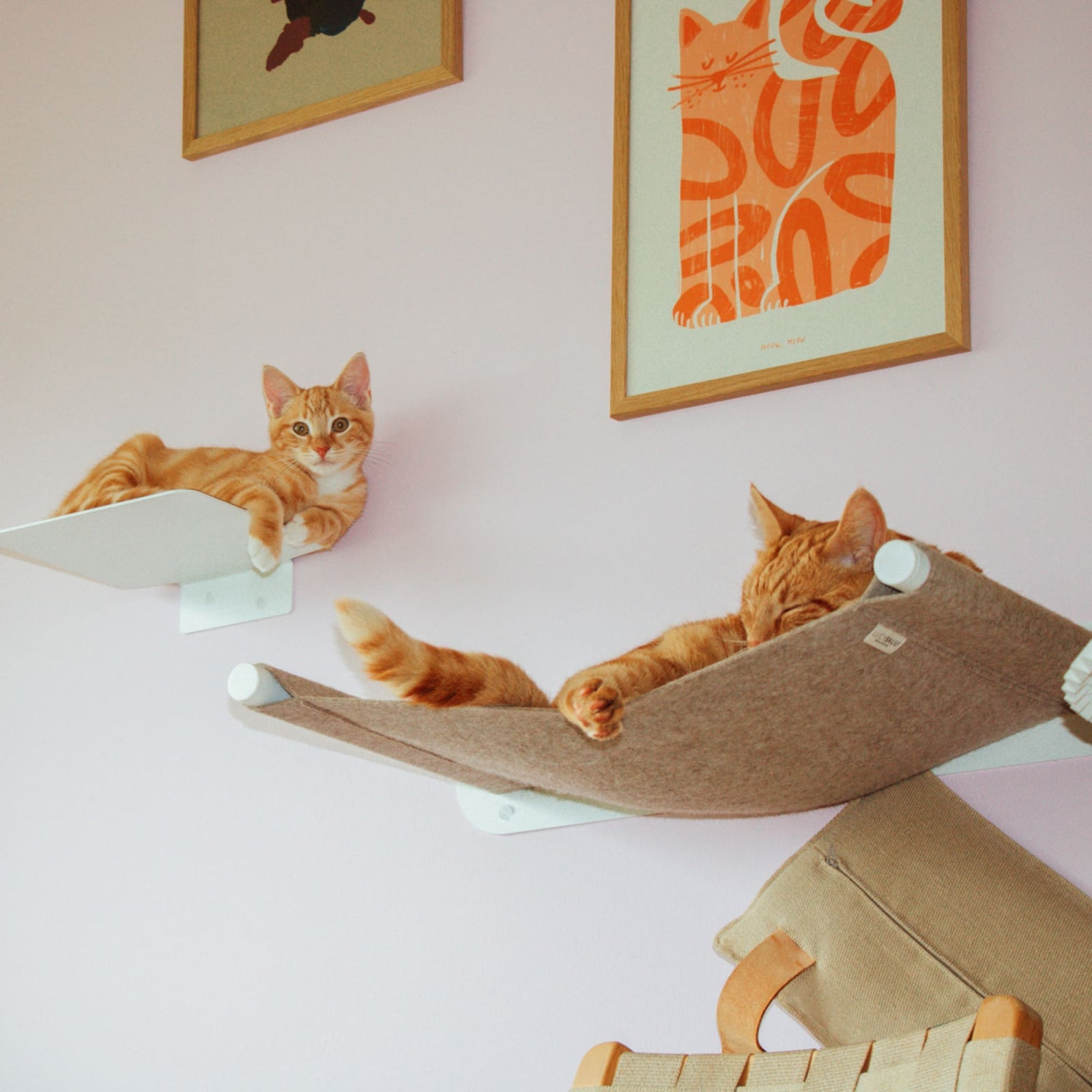 Zwei Kitten spielen auf STEPS Stufe und SWING Hängematte der weißen Katzenwand