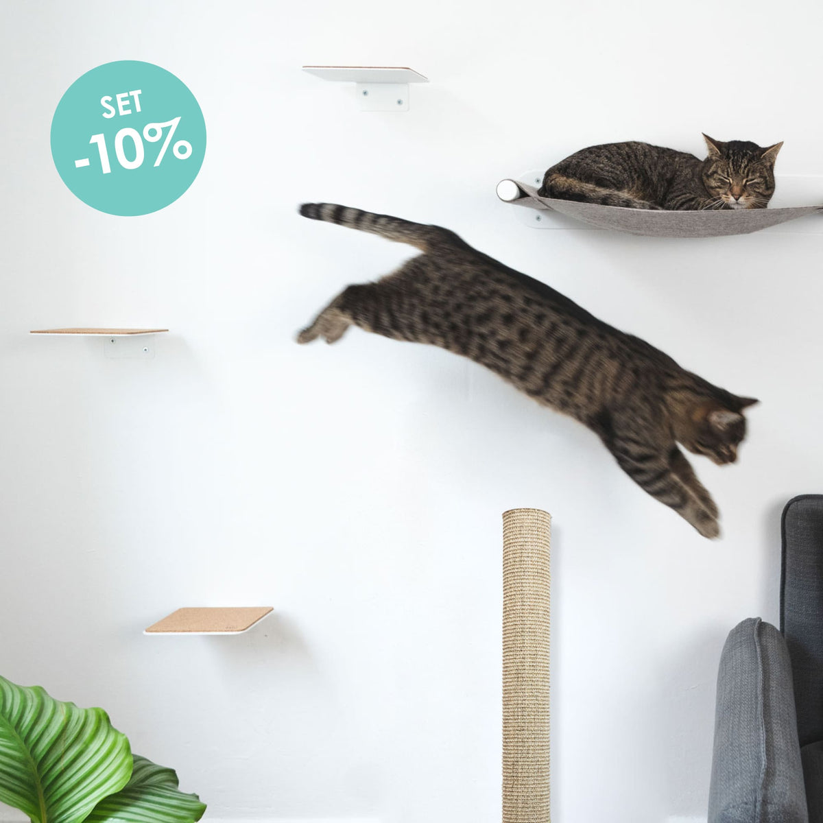Katze springt zwischen STEPS Stufen an Katzenwand Weiß mit SWING Hängematte und CATWALK Kratzsäule
