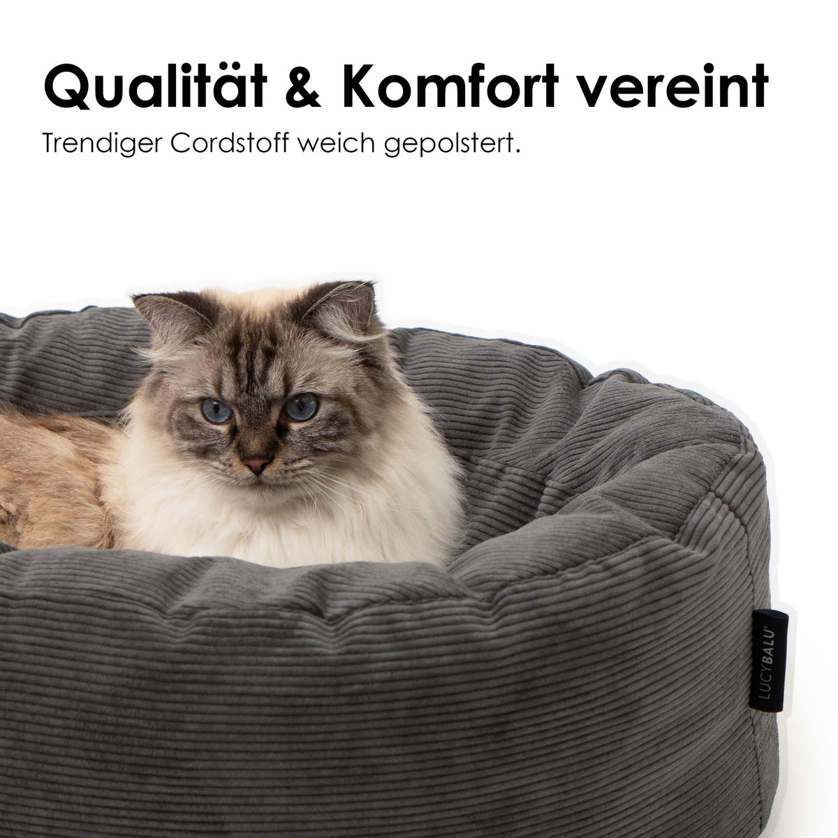 Cuccia per gatti DINGHY in antracite: qualità e comfort uniti grazie al tessuto in velluto a coste trendy e morbidamente imbottito, gatto Ragdoll seduto dentro