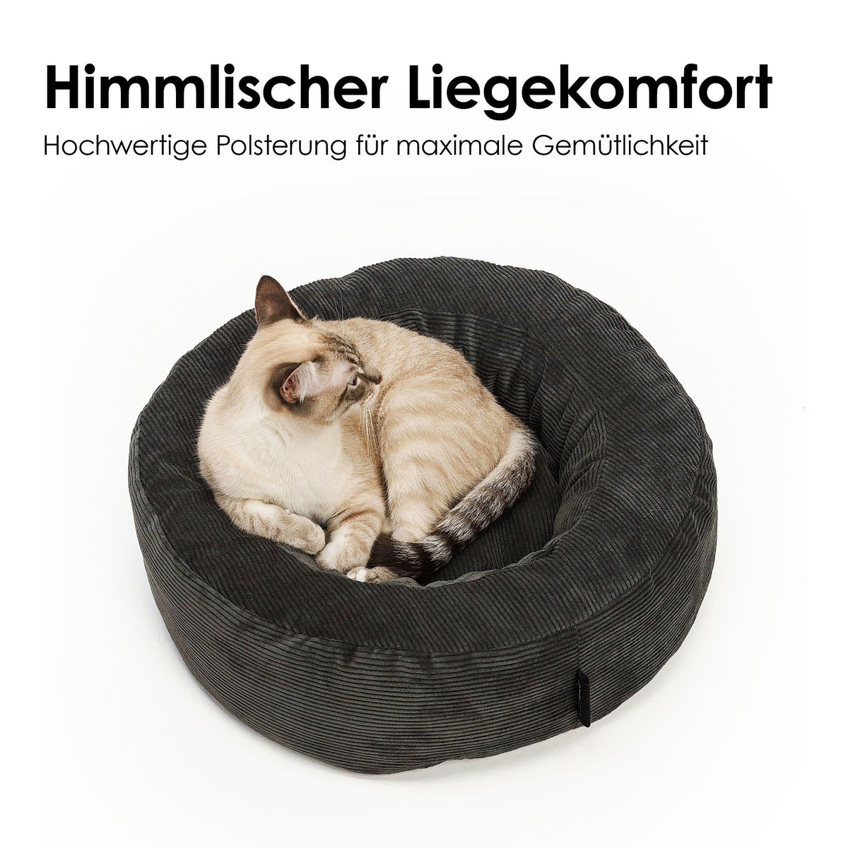 NEST Katzenbett in Anthrazit: Katze ruht im Cordbett, „Himmlischer Liegekomfort – Hochwertige Polsterung für maximale Gemütlichkeit“