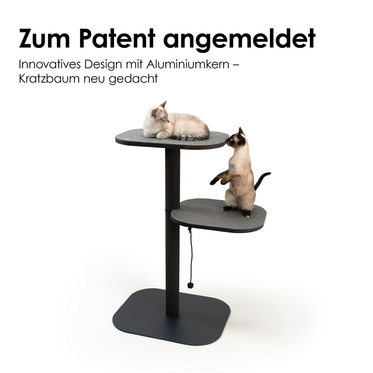 PEAK Kratzbaum in Anthrazit mit patentiertem Aluminiumkern – zwei Katzen auf den Liegeflächen.