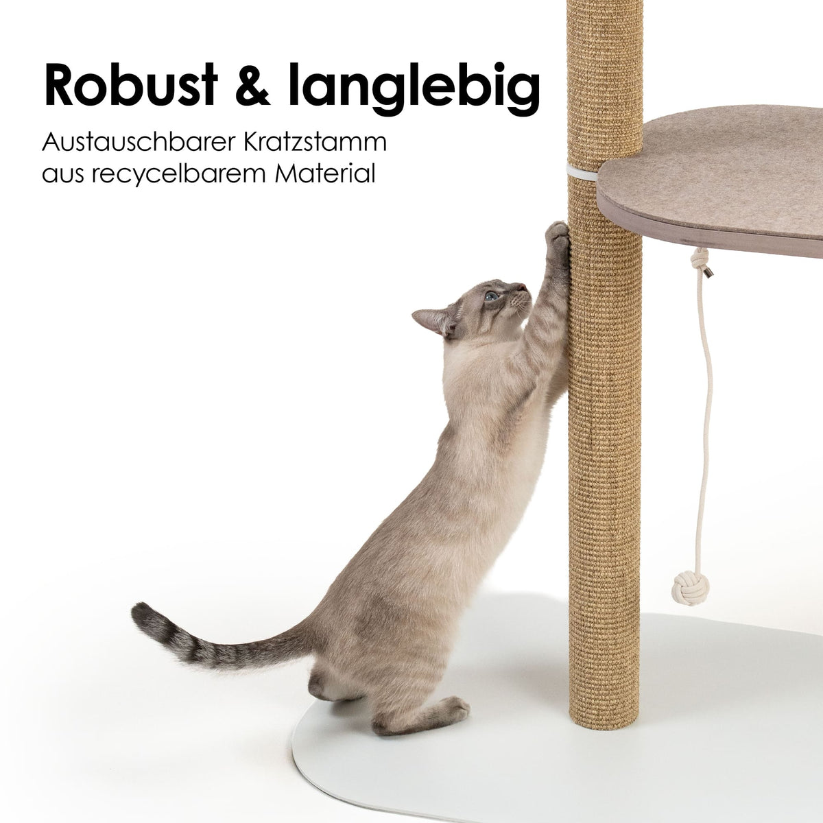 Katze kratzt am austauschbaren Sisal-Kratzstamm des PEAK Kratzbaums aus recycelbarem Material.