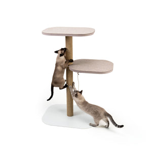 Zwei Katzen klettern und spielen mit Ball am PEAK Kratzbaum mit Sisal-Kratzstamm und zwei Liegeflächen.