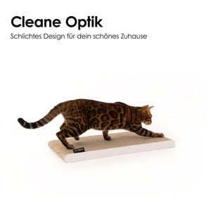 Gatto cammina sulla tavola da grattare SCRATCHPAPER dal design semplice