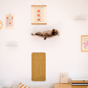Katze liegt in der SWING Hängematte über dem SCRATCHPAD Kratzbrett, weiße Katzenwand mit STEPS Stufen