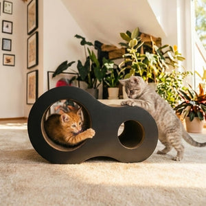 Zwei junge Katzen spielen an der anthrazitfarbenen PLAYGROUND Kratzhöhle im hellen Wohnzimmer