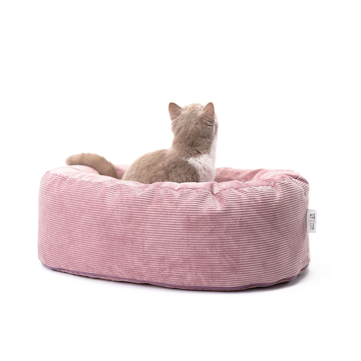 Katze sitzt im rosa DINGHY Katzenbett Hello Kitty Edition, Blick von hinten