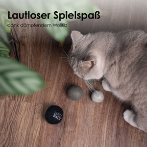 Katze spielt mit JOY BAG Filzbällen – lautloser Spielspaß dank dämpfendem Wollfilz