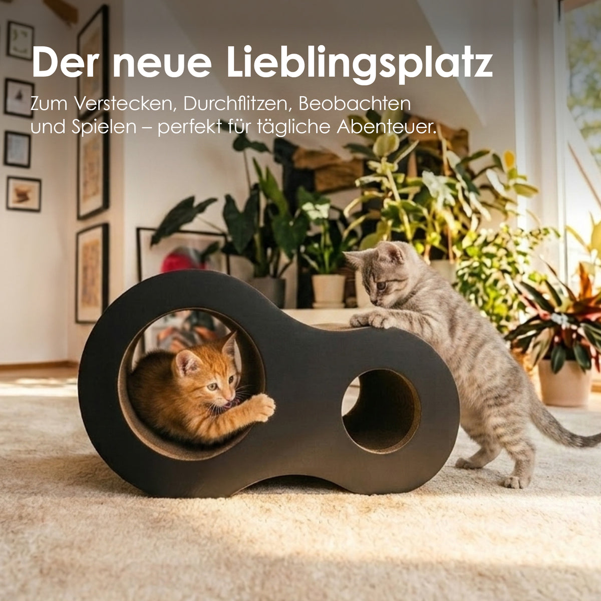 Zwei Kitten verstecken und spielen an der anthrazitfarbenen PLAYGROUND Kratzhöhle