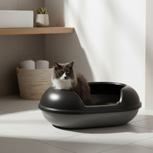 Gatto a pelo lungo seduto nella lettiera ARENA color antracite in bagno