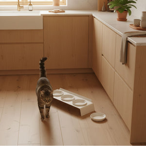 Stazione pasti BUFFET in bianco in una cucina moderna – gatto che si dirige verso il punto pasto con tre ciotole.