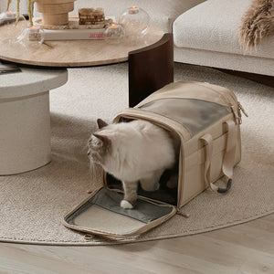 Sac de transport CHECK-IN en sable, un chat Ragdoll en sort, salon cosy